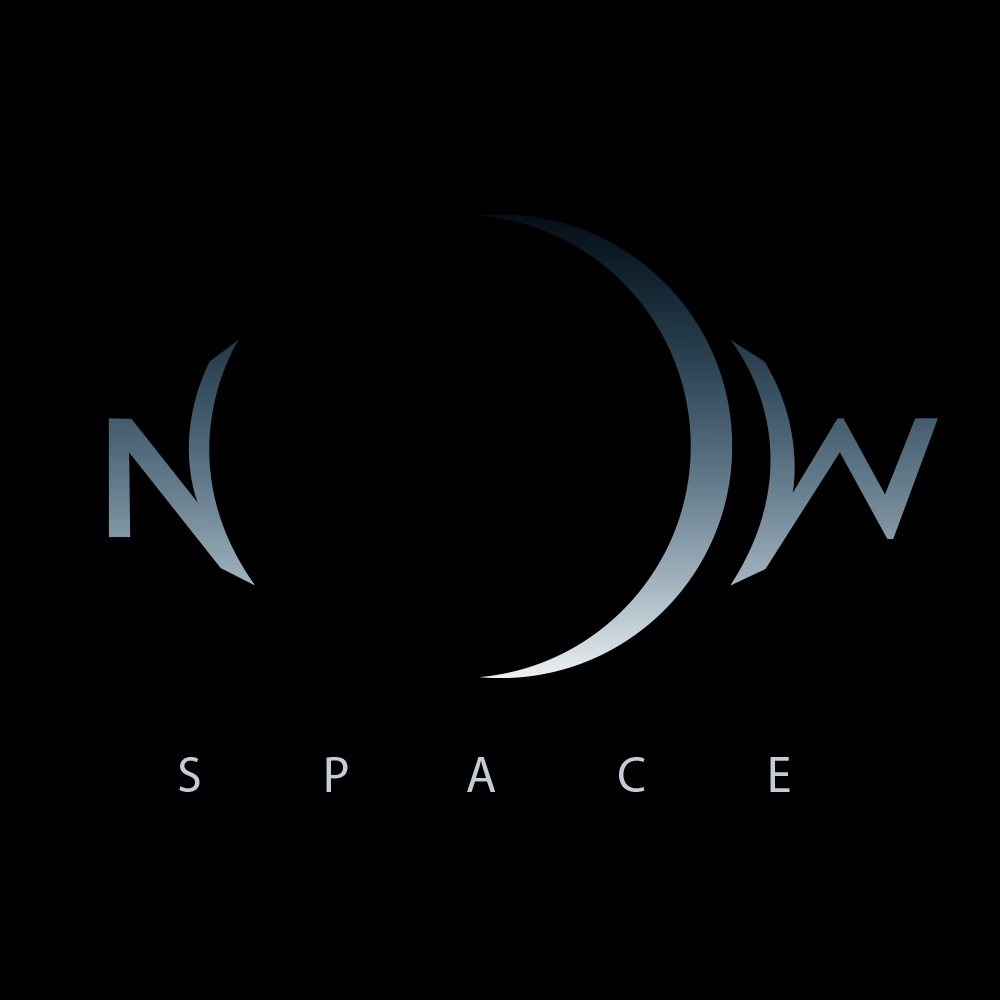 Now Space | Logo
